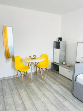 Miha modern and central apartament, Arad